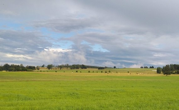 Měnič obrázků - fotografie