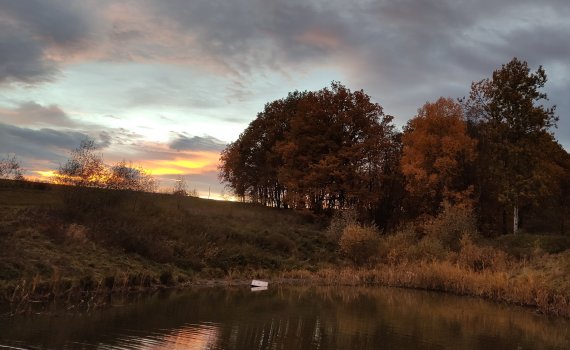 Měnič obrázků - fotografie