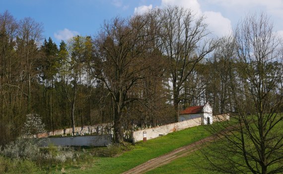 Měnič obrázků - fotografie